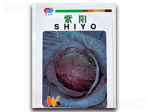 ���-���{�N��-�ꂥ�N�I(y��)