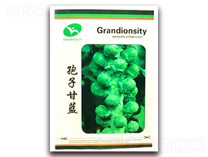 ���Ӹ��{-���{�N��-�ꂥ�N�I(y��)