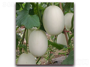 ��������-��ϷN��-�ꂥ�N�I(y��)