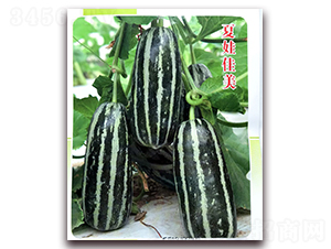 ���޼���-��ϷN��-�ꂥ�N�I(y��)