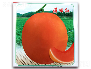 �M��t-��ϷN��-�ꂥ�N�I(y��)