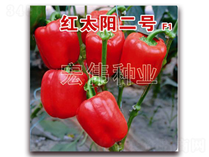 �t̫�(y��ng)2̖(h��o)-�����N��-�ꂥ�N�I(y��)