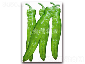 �G��65-�����N��-�ꂥ�N�I(y��)