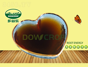 ���İ����������-��Ș�(l��)