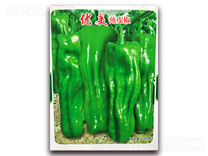 ��(y��u)����Ƥ��-�����N��-�ꂥ�N�I(y��)