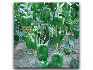 ����̫��2019-�����N��-�ꂥ�N�I(y��)