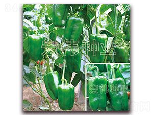 �P��168-�����N��-�ꂥ�N�I(y��)