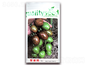 ������-�������t���N��-�ꂥ�N�I(y��)