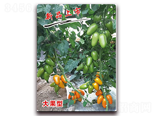 ��ţ3̖(h��o)�_��-�������t���N��-�ꂥ�N�I(y��)