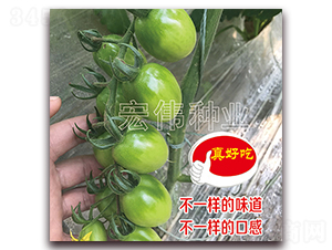 ��˼��-�������t���N��-�ꂥ�N�I(y��)