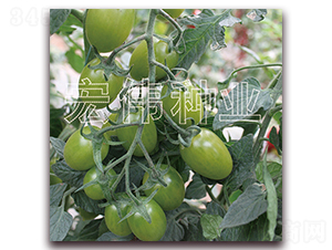 �G��ʯ��̖(h��o)-�������t���N��-�ꂥ�N�I(y��)