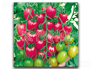 ����̖(h��o)-�������t���N��-�ꂥ�N�I(y��)