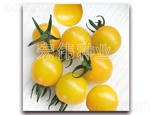 �ᭇ��-�������t���N��-�ꂥ�N�I(y��)