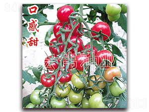 ����1268-�������t���N��-�ꂥ�N�I(y��)