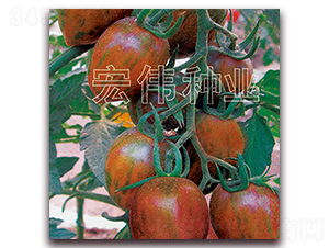 ����12-8-�������t���N��-�ꂥ�N�I(y��)