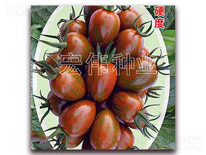 �ϲ���-�������t���N��-�ꂥ�N�I(y��)