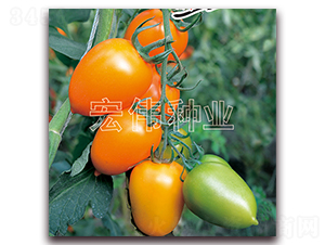 ��ţһ̖(h��o)-�������t���N��-�ꂥ�N�I(y��)