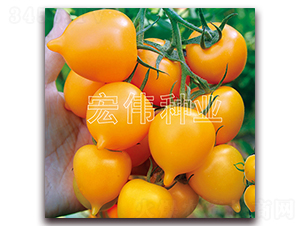 ����һ̖(h��o)-�������t���N��-�ꂥ�N�I(y��)