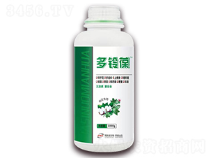 �޻���(zhu��n)�ö����-��˹�Z