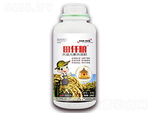 ����Ԫ��ˮ�ܷ�-��Ǫ�Z-��˹�Z