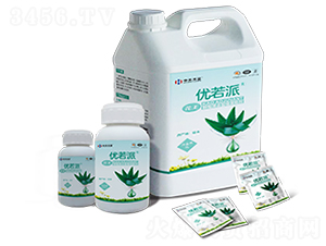 �r(n��ng)�Ç��F����-��(y��u)����-�к����