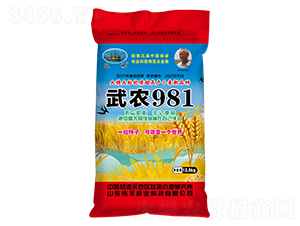 ���r981��С���N�ӣ�-���S�N�I(y��)