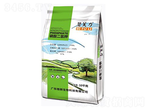 99%��������-��ܽ��-��������