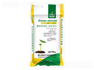 ����ֲ�ﵰ���ЙC(j��)����-��ܽ��-��������