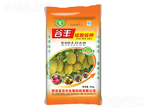 �����@�21-6-24-���S-�ƜB�r(n��ng)�I(y��)