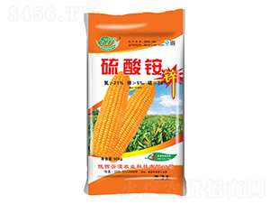 �����@���׌���-ʩ�R�S-�ƜB�r(n��ng)�I(y��)