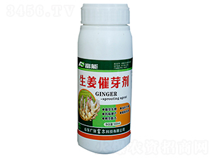 ������ѿ��-�����Ƽ�