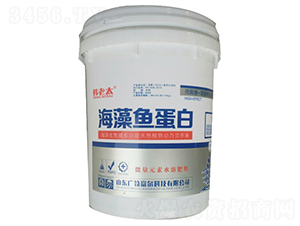 �����~����-�n��̫-�����Ƽ�