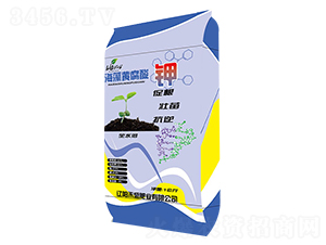 �����S�����-��ʢ�ʘI(y��)