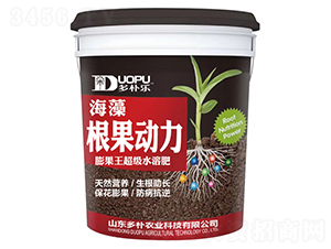 ������(d��ng)��-�����Ƽ�