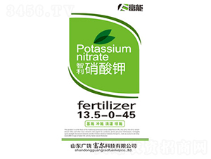 �����-�����Ƽ�