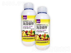 �������-�����Ƽ�