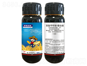 8%���Ѽ׭h(hu��n)�����xືN��̎��Ҹ���-��������