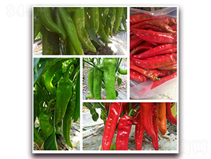 ���ｷ��-�����N��-���R�߿�