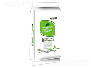 ���������-����-�����Ƽ�