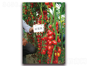 �t����(l��i)-�ظ߮a(ch��n)С���ѷN��-���f(w��n)��