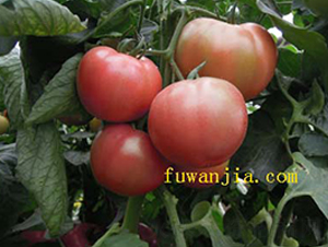 ��(y��u)��119-���ѷN��-���f(w��n)��