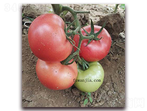 ��(y��u)��52-Ӳ�۷��ѷN��-���f(w��n)��