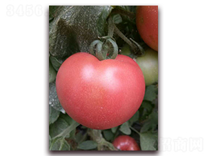 ��(y��u)��180-���ѷN��-���f(w��n)��