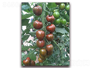 �k�����-���ѷN��-���f(w��n)��