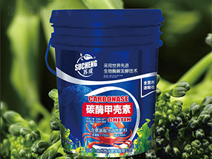 ̼ø�ך���-�K�ɷʘI(y��)