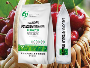 ���_��⛌�10-0-48+TE-�K�ɷʘI(y��)