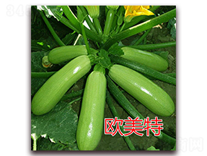 �W����-�����J�N��-�|�Z�r(n��ng)�I(y��)