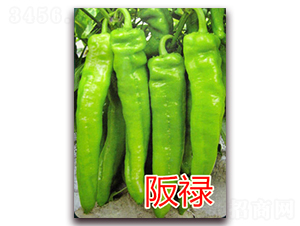 �൓-�����N��-�|�Z�r(n��ng)�I(y��)