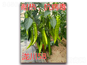 �{��58-�͟�⽷�N��-�|�Z�r(n��ng)�I(y��)