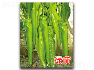 �G��-�����N��-�|�Z�r(n��ng)�I(y��)